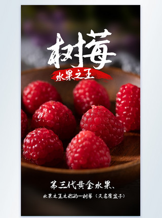 一只新鲜的树莓树莓水果之王美食摄影图海报模板