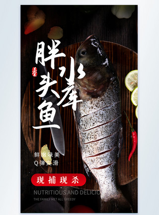 长江水库水库胖头鱼美食摄影图海报模板