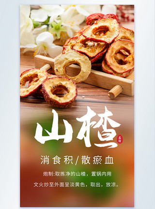 陈皮山楂茶山楂消食减肥药材摄影海报模板