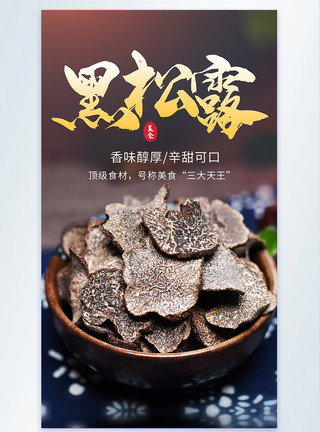 野生松树蘑菇黑松露食用真菌食材摄影海报模板