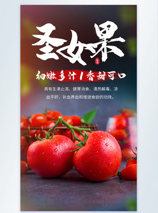 摄影水果圣女果西红柿蔬果摄影海报模板