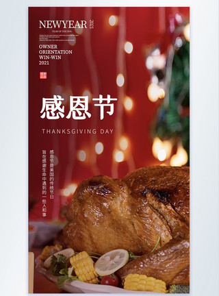 火鸡图片清新简约文艺感恩节摄影图海报模板