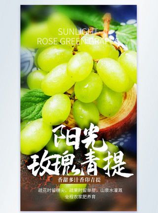 阳光玫瑰青提美食摄影图海报模板