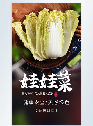 老北京大白菜娃娃菜有机蔬菜摄影海报模板