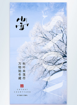 万物始冬藏二十四节气小雪摄影图海报模板