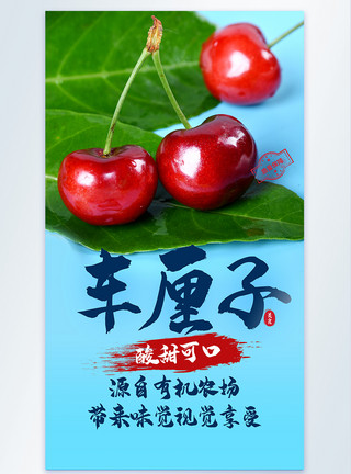 樱桃果车厘子樱桃进口水果摄影海报模板