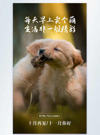 微笑犬狗十月再见十一月你好励志摄影图海报模板