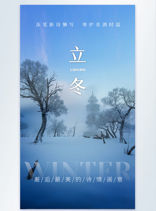 立冬时节枫叶红清新简约文艺立冬摄影图海报模板