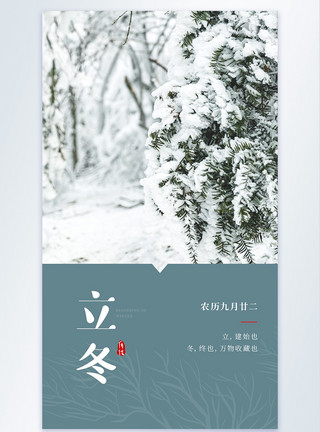 冬天积雪二十四节气之立冬节日摄影图海报模板