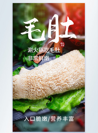 深度冷冻食品食材毛肚火锅美食摄影图海报模板