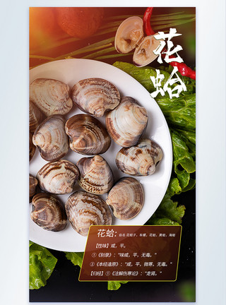 鲜活海鲜文蛤花蛤摄影图海报模板