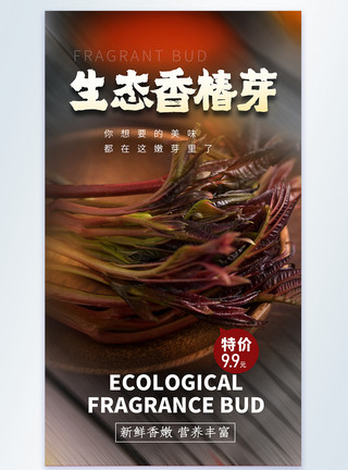 生态蔬菜生态香椿芽美食摄影图海报模板