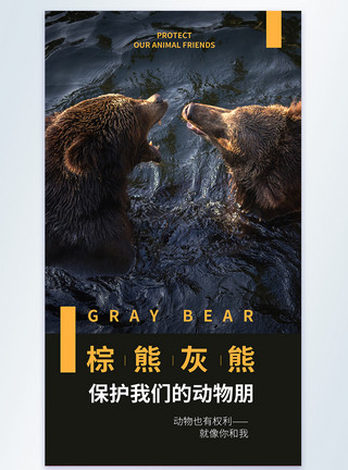 可爱棕熊保护我们的动物朋公益宣传摄影图海报模板