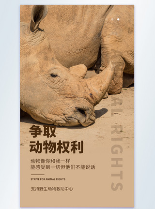 白犀牛争取动物权利公益宣传摄影图海报模板