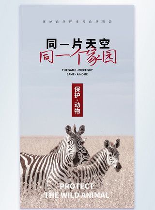 关爱我们的家园同—个家园保护动物宣传摄影图海报模板