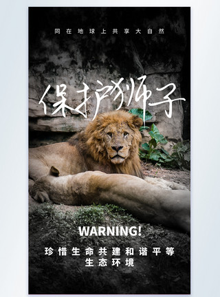狮子捕猎保护狮子宣传摄影图海报模板