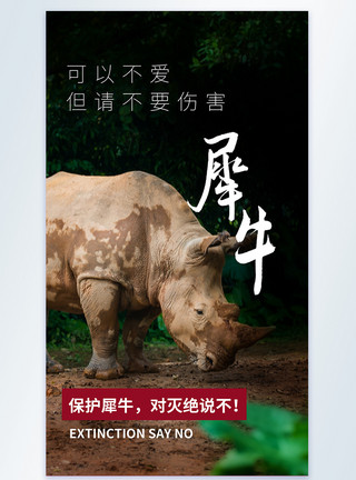 黑犀牛犀牛保护动物宣传摄影图海报模板
