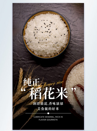 红香米纯正稻花米摄影图海报模板
