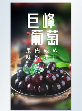黑葡萄巨峰葡萄水果摄影图海报模板
