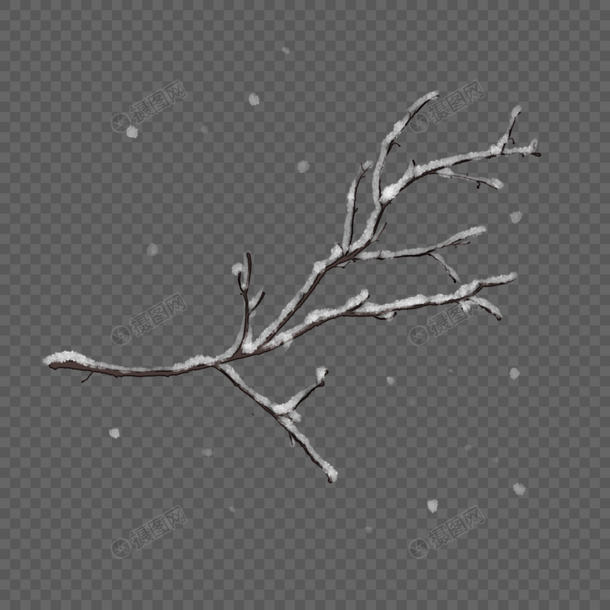 冬天积雪的枯枝图片
