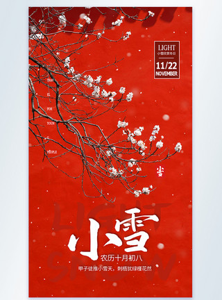 故宫雪景图24节气摄影海报设计模板