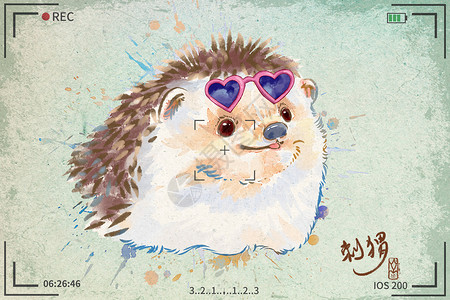 极地野生动物园刺猬水彩明信片插画插画