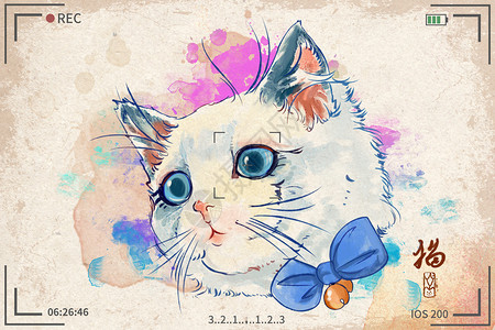 猫咪水彩明信片插画图片