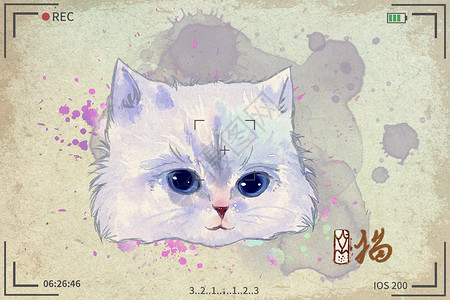白猫水彩明信片插画背景图片