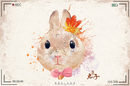 可爱兔子水彩明信片插画图片
