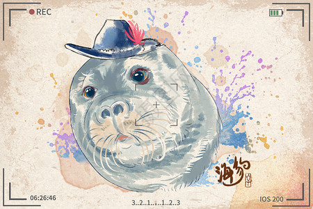 海狮海豹水彩明信片插画插画