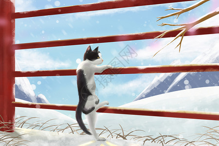 猫咪赏雪图片