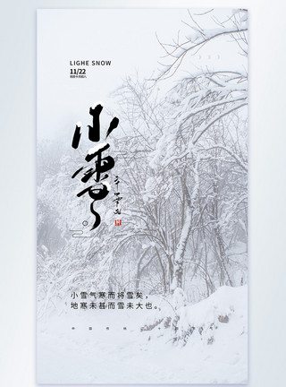 冬景图片中国传统二十四节气之小雪摄影图海报模板