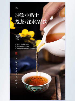饮白露茶字体冲饮小贴士喝茶摄影图海报模板