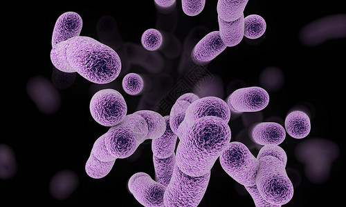 单细胞原生动物杆状细菌设计图片