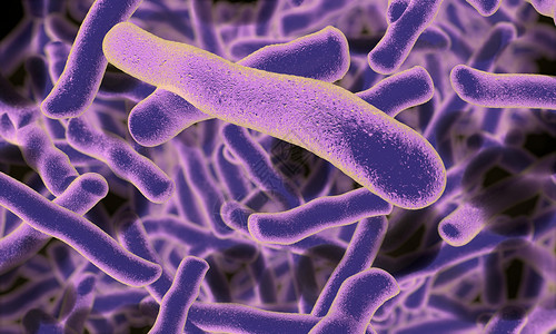 单细胞原生动物致病菌设计图片