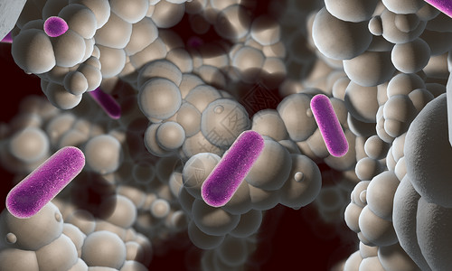 活菌感染细菌设计图片