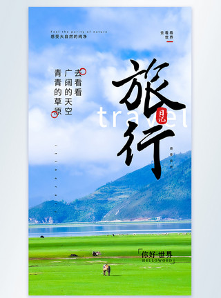 杨柳青青旅行摄影图海报模板