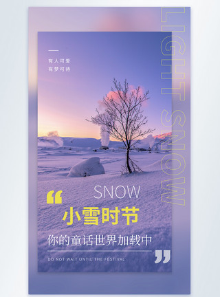 小雪时节枸杞清新简约小雪节气摄影图海报模板