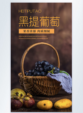 黑提葡萄水果摄影图海报模板