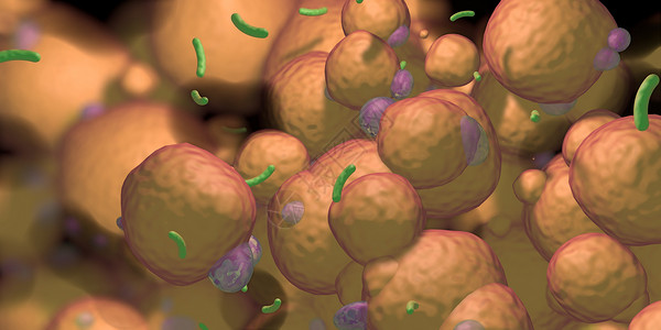 单细胞原生动物感染细菌设计图片