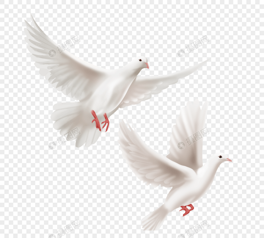 两只展翅高飞手绘白色和平鸽图片