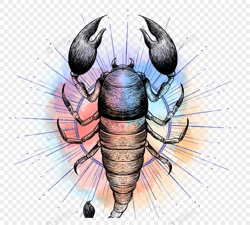 十二星座系列水彩晕染天蝎座图片