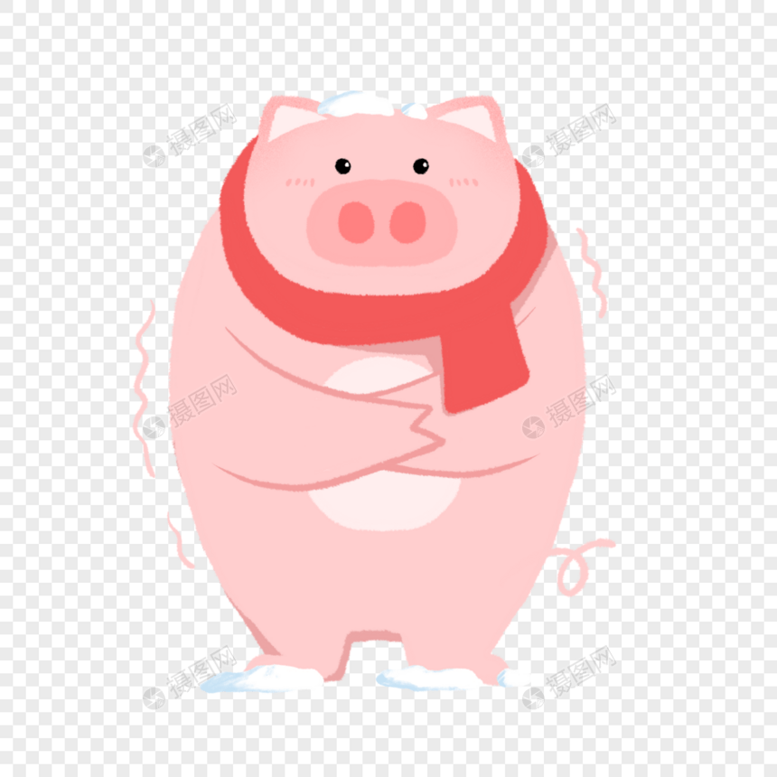冬季动物寒冷围巾猪猪图片
