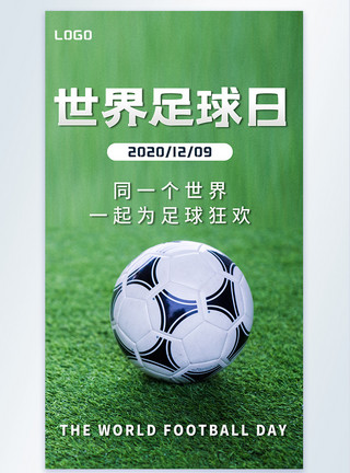 球足球世界足球日摄影图海报模板