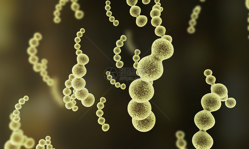 细菌细胞场景图片