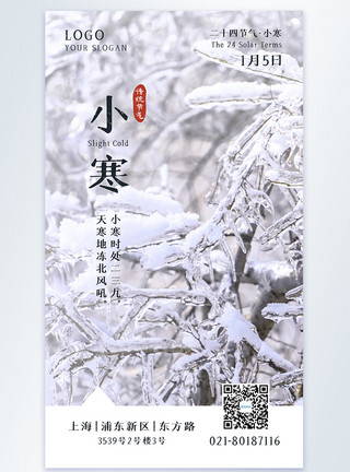 雪压竹子小寒传统节气宣传摄影图海报模板