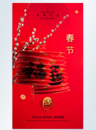 牛解刨图简洁大气2021牛年春节挂灯笼摄影图海报模板