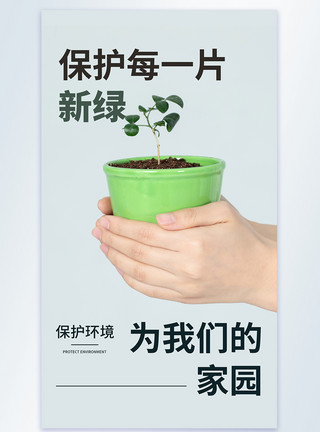 植物盆保护每一片新绿公益摄影图海报模板