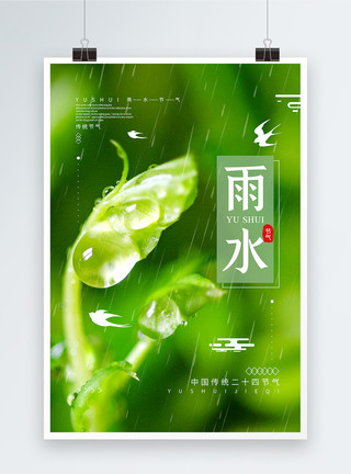雨水绿叶绿色清新二十四节气之雨水海报模板