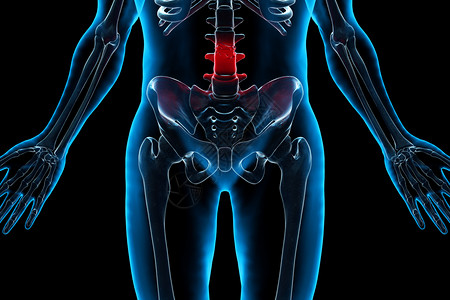 人体腰椎人体腰骨结构设计图片